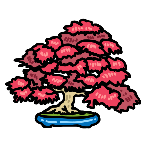 Bonsai cây cảnh - Công Ty CP Trùn Quế Củ Chi